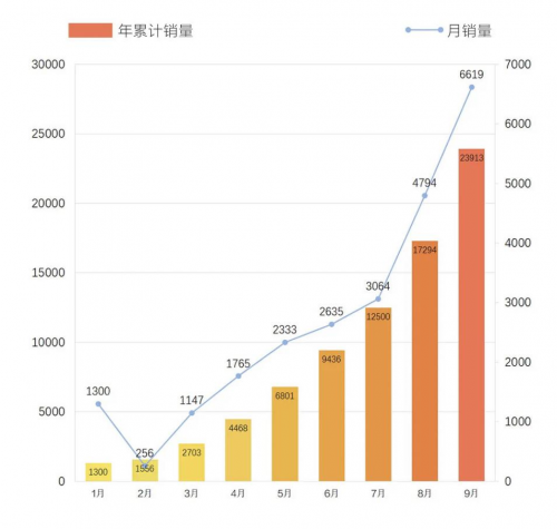 “围攻”特斯拉，国产谁能打?