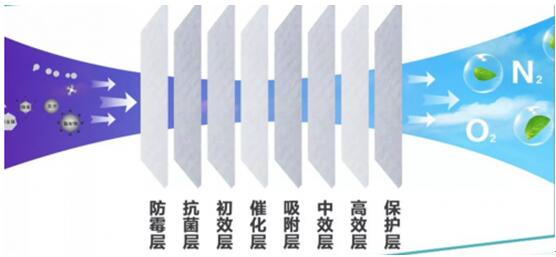 学霸不是一天养成的 破译奔腾B70十五周年纪念版的安全密码