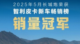全球化布局再提速 长城山海炮Hi4-T正式登陆智利