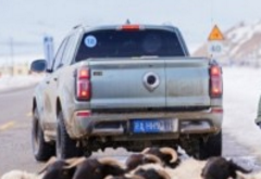 铲车开道，风骏护航：草原父母的爱有多硬核？