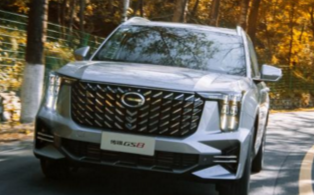 12万买传祺GS8：让全家春游这件事，从此变得轻松